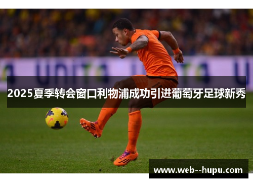 2025夏季转会窗口利物浦成功引进葡萄牙足球新秀 2025夏季转会窗口利物浦成功引进葡萄牙足球新秀